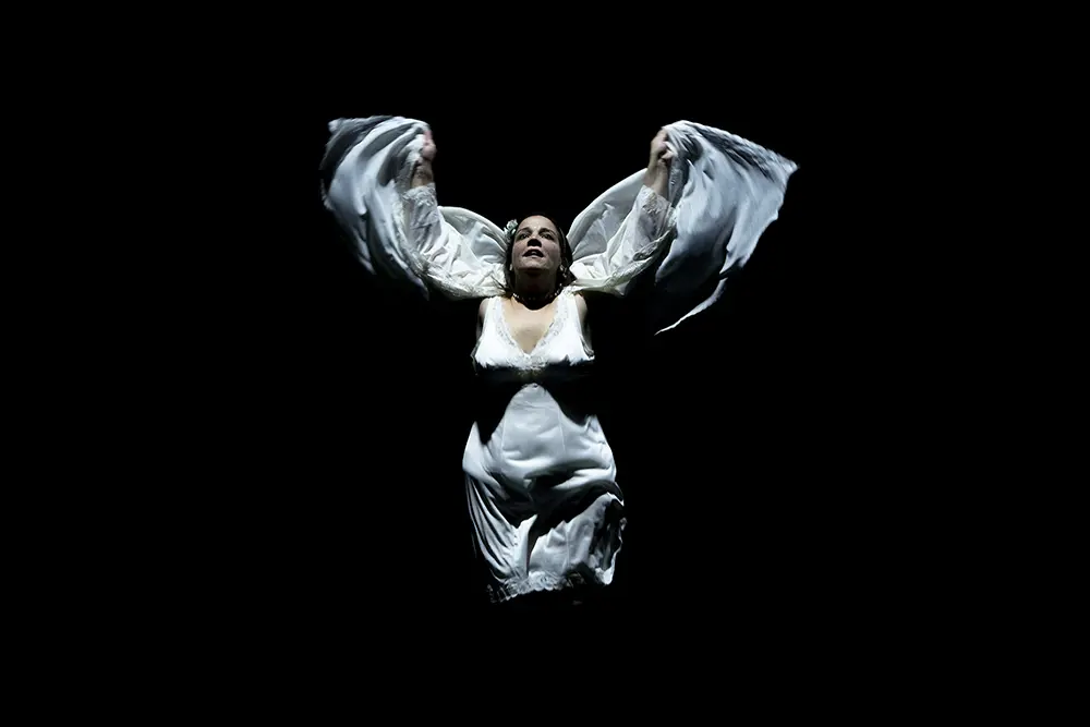 image du spectacle L'Angelo del focolare