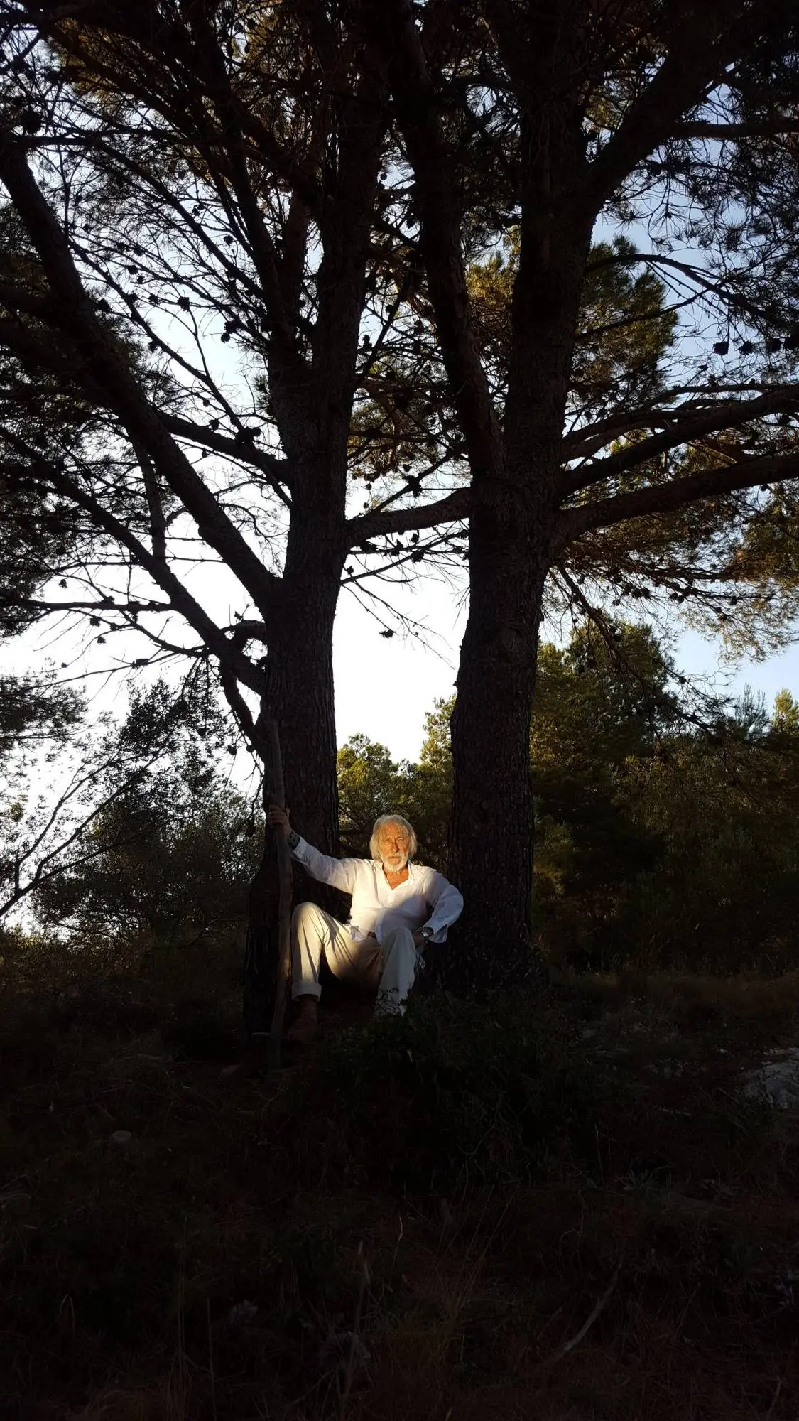 petit éloge de la nuit