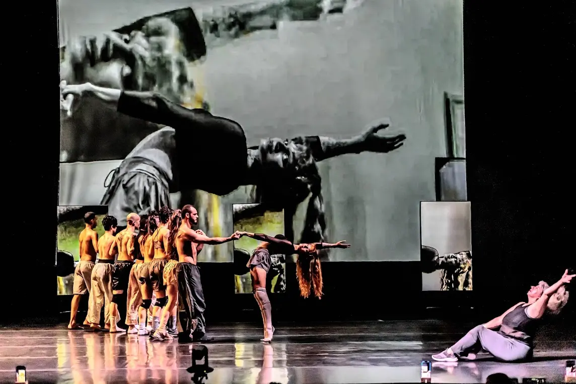 Image du spectacle Eu não sou só eu em mim