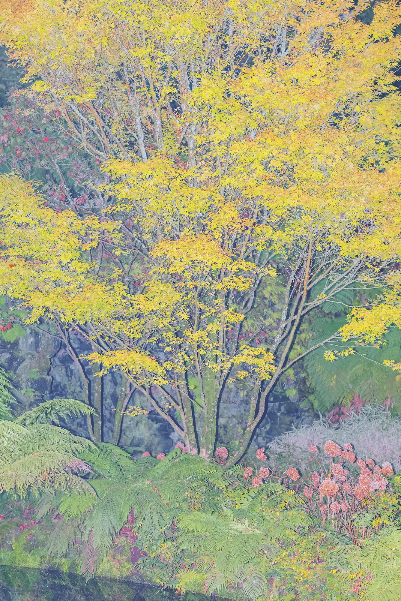 lc_s2526_17_soutien_creation_rvb_copie_letizialefur.jpg