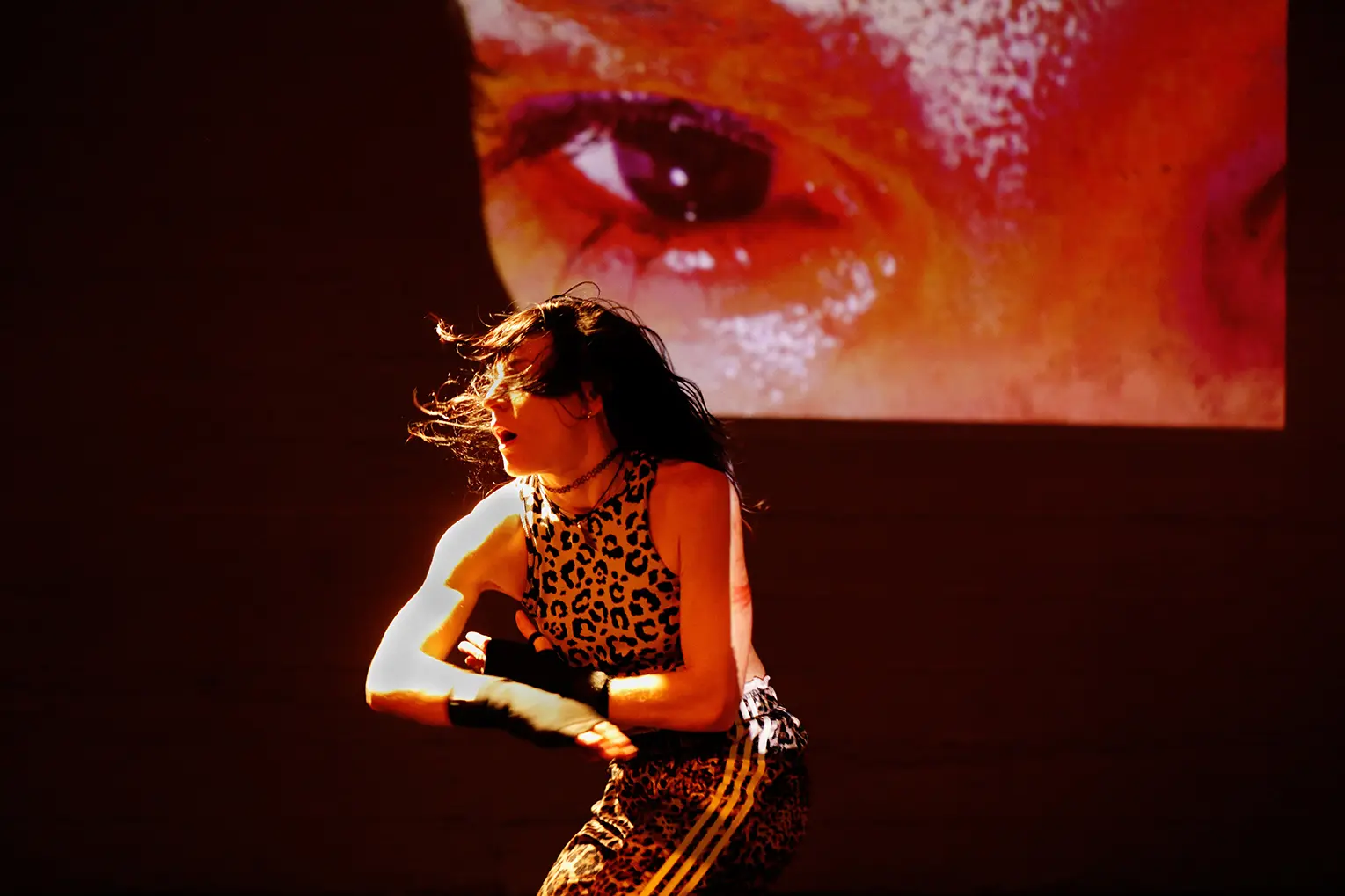image du spectacle Ayoub