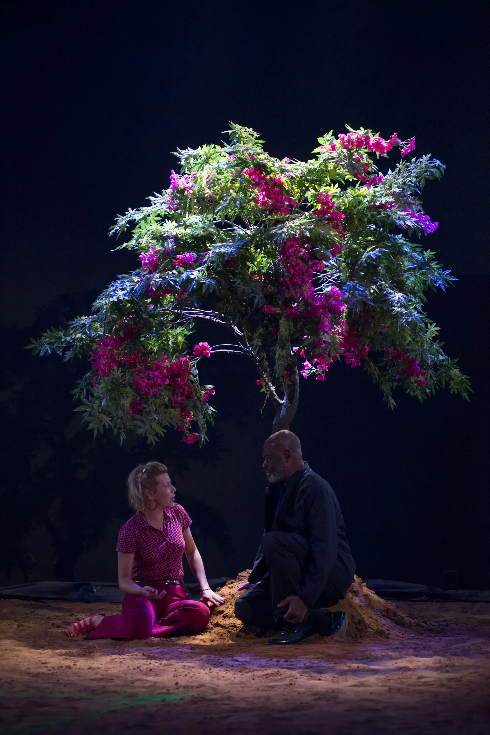 image du spectacle Combat de nègre et de chiens