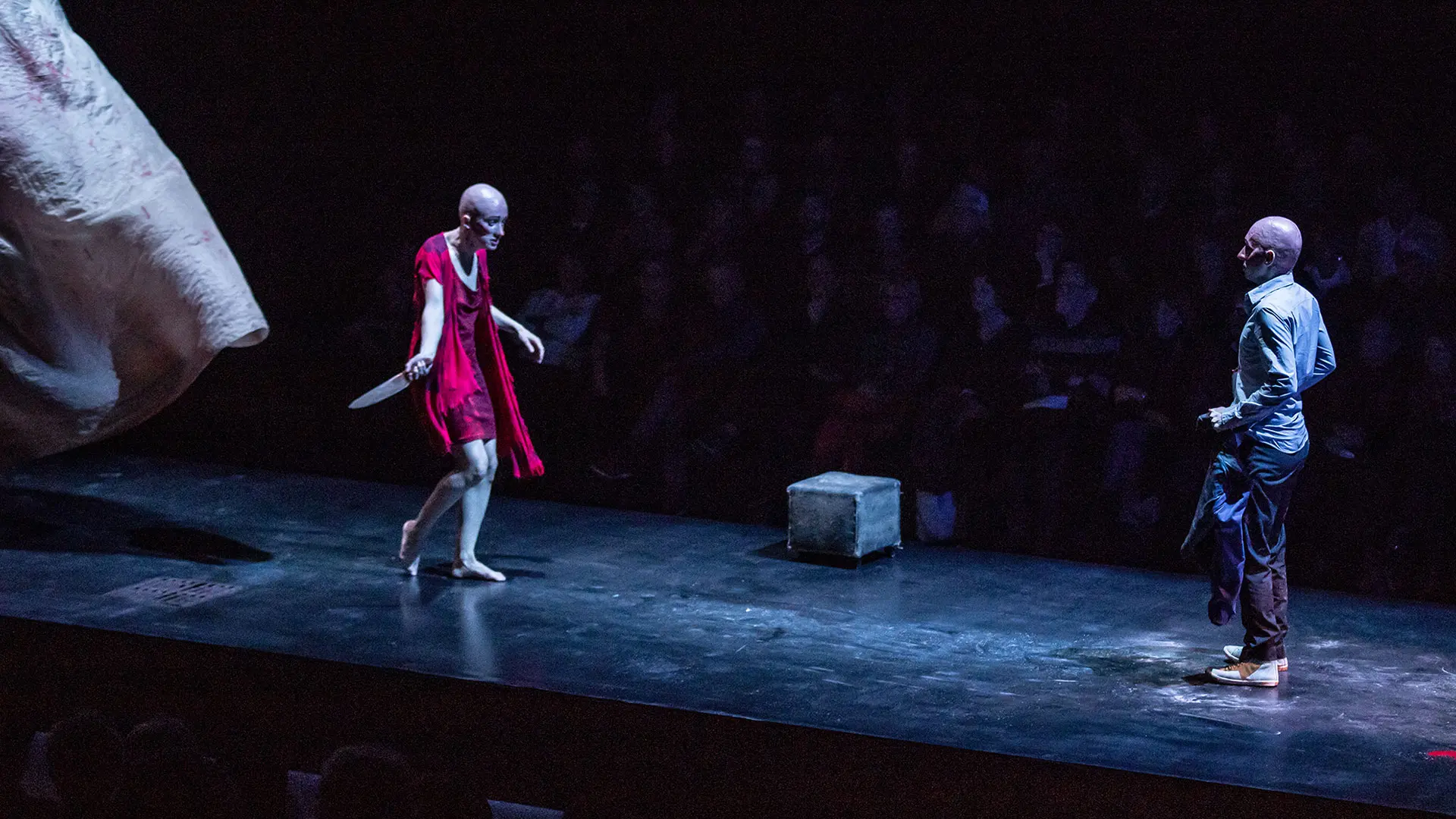 image du spectacle Le chien la nuit et le couteau