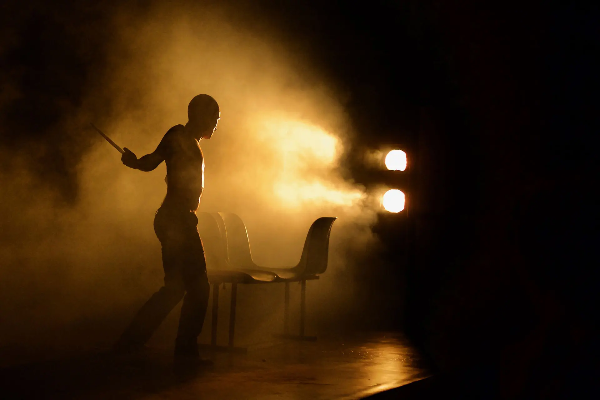 image du spectacle Le chien la nuit et le couteau
