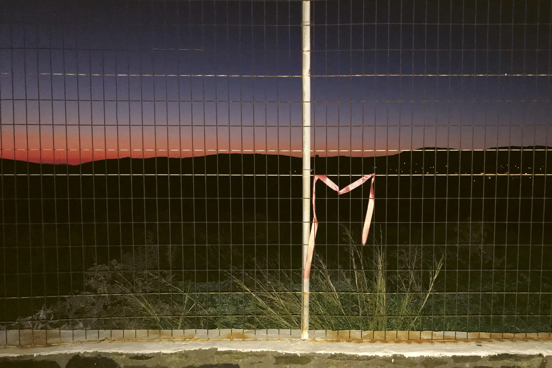 image pour MONARQUES
