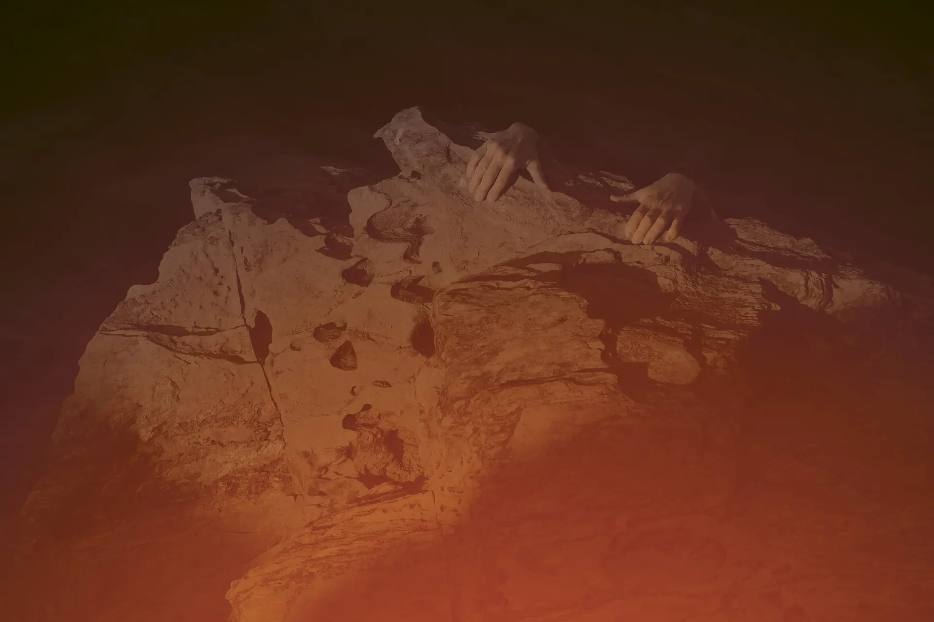 image pour Andromaque