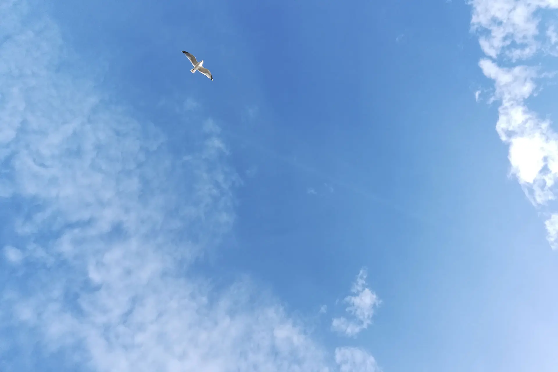 Image du spectacle Au nom du ciel