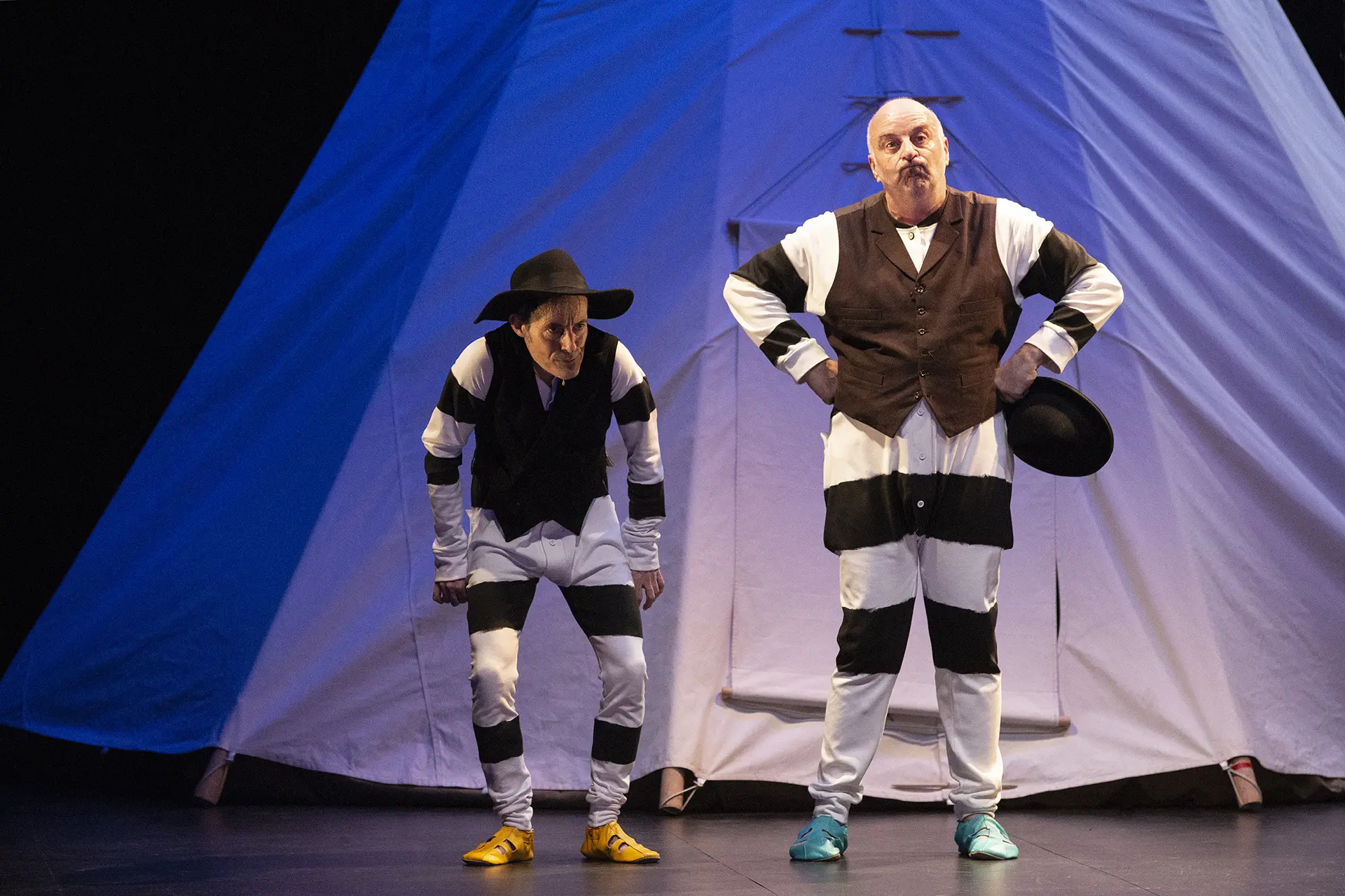 image du spectacle Coyote