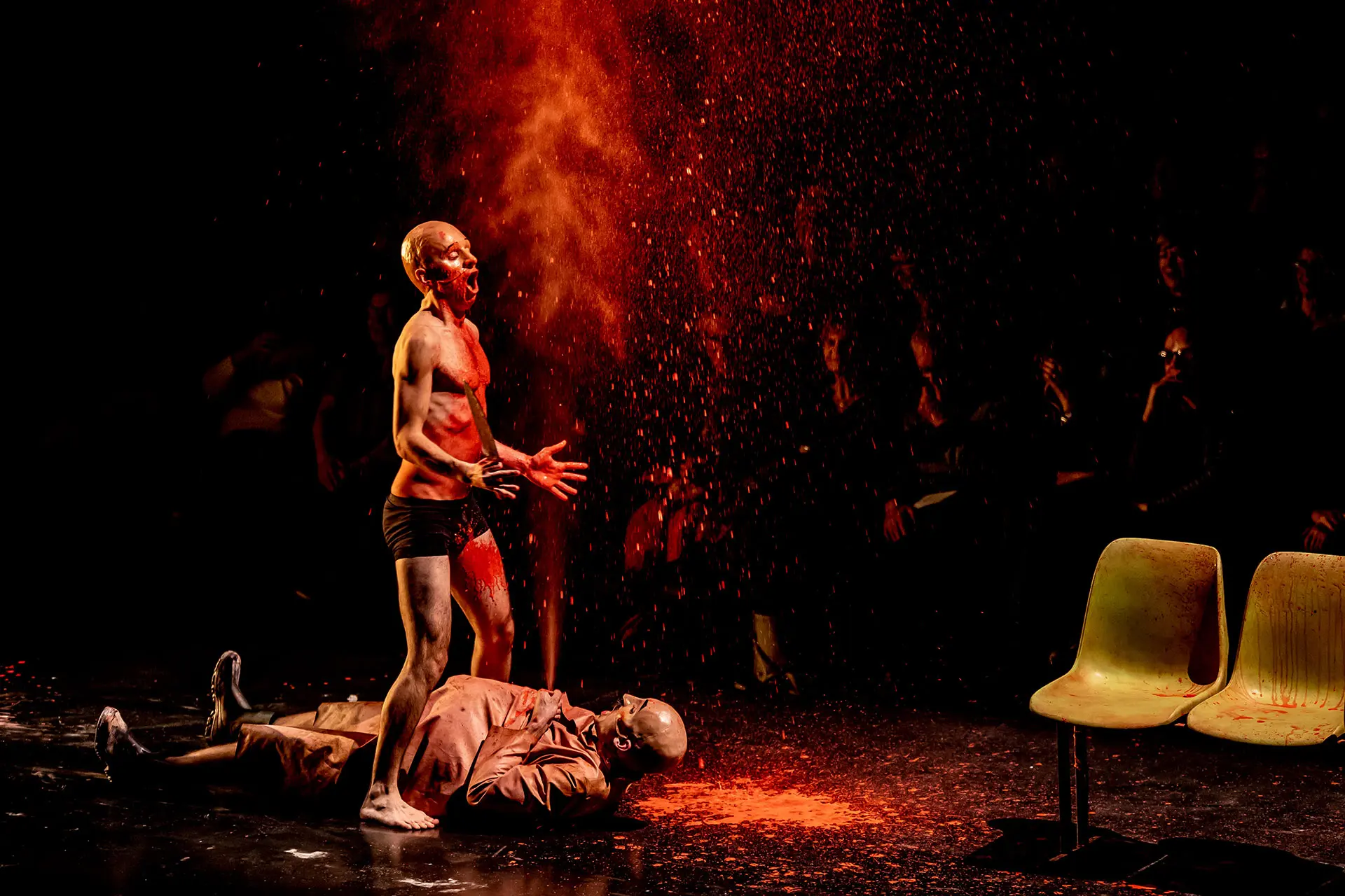 image du spectacle Le chien la nuit et le couteau