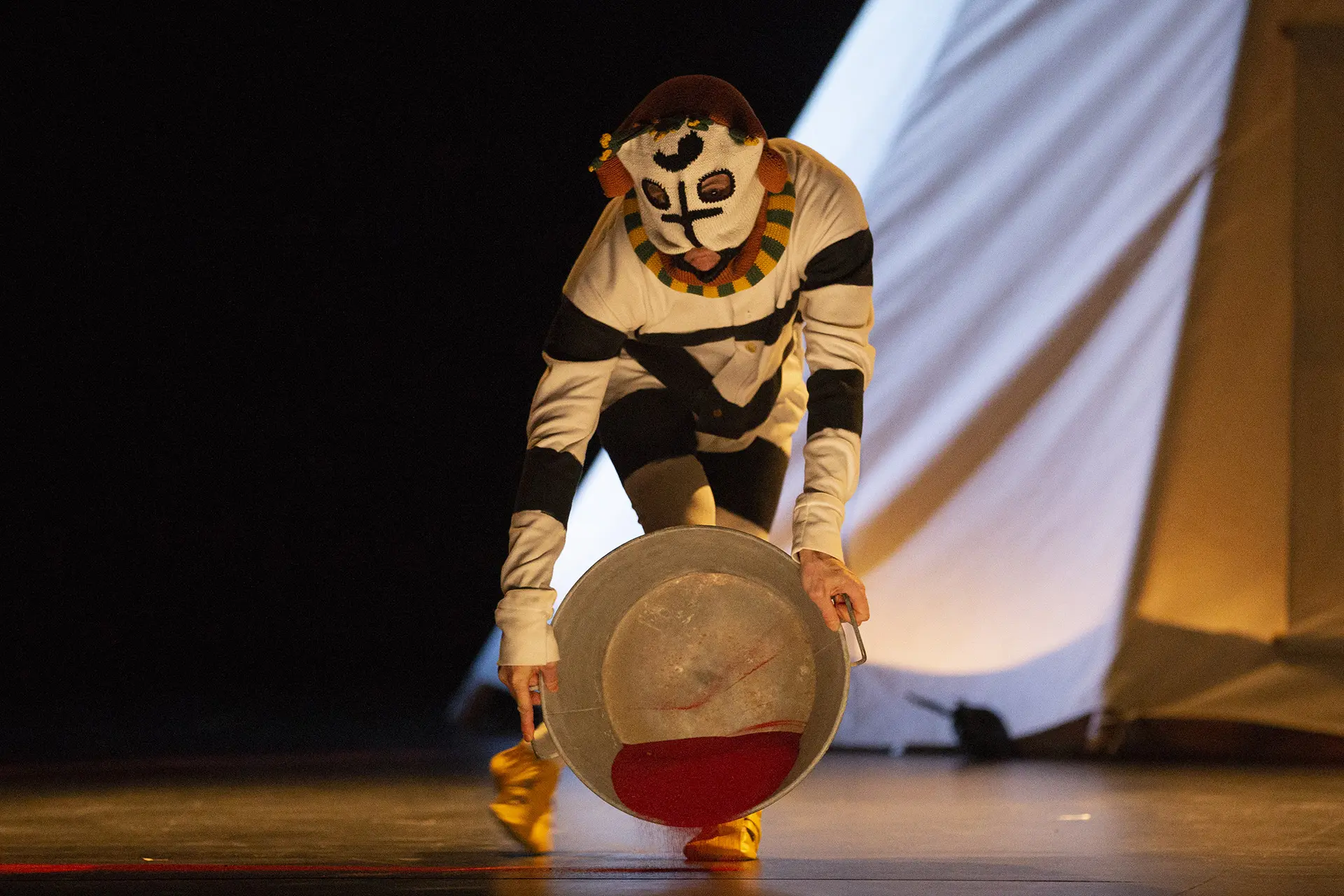 image du spectacle Coyote