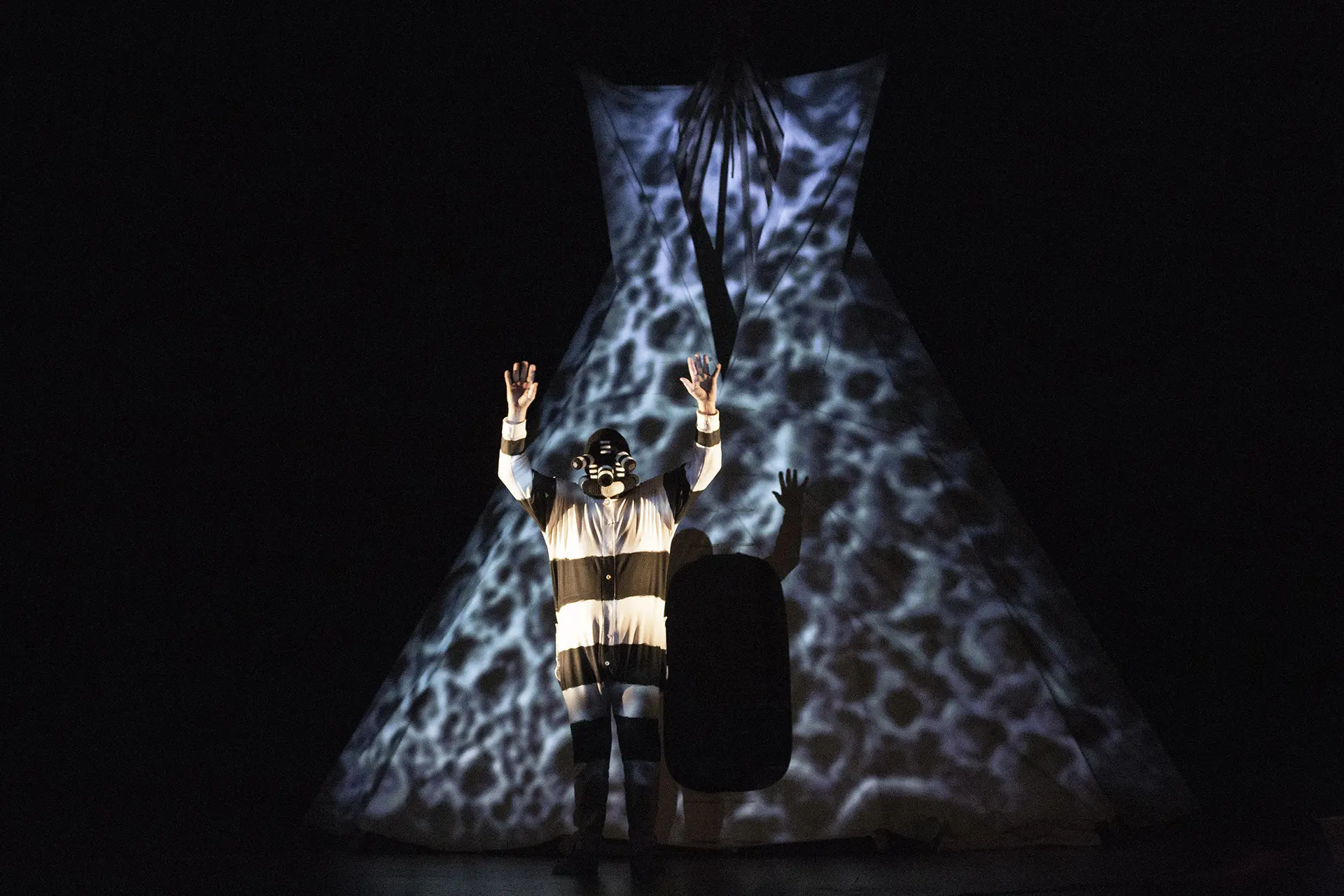 image du spectacle Coyote