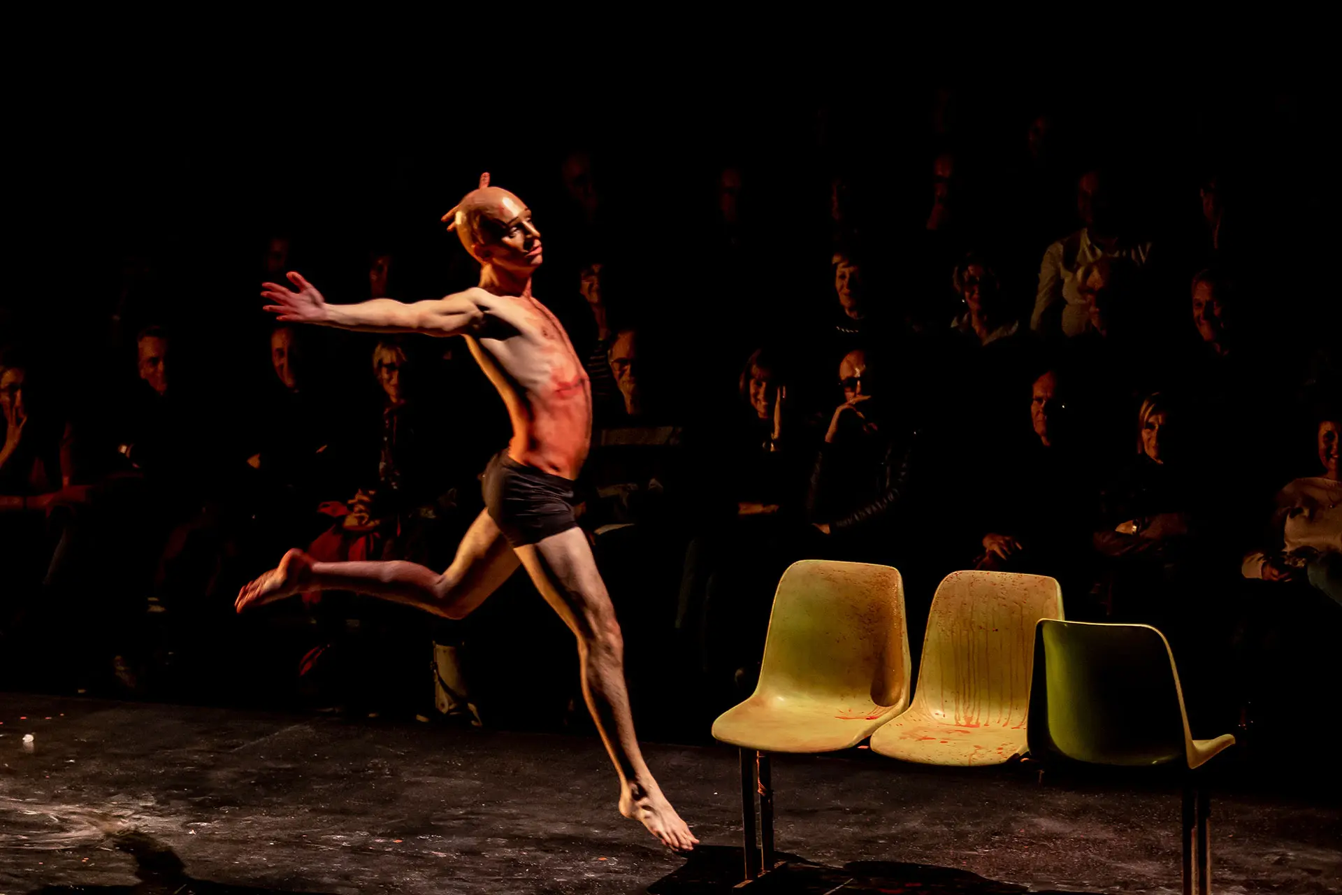 image du spectacle Le chien la nuit et le couteau