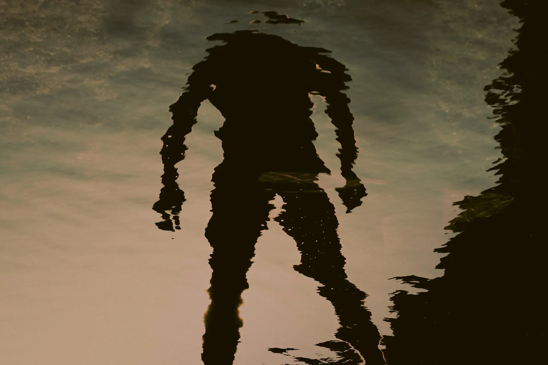 image pour Le Misanthrope