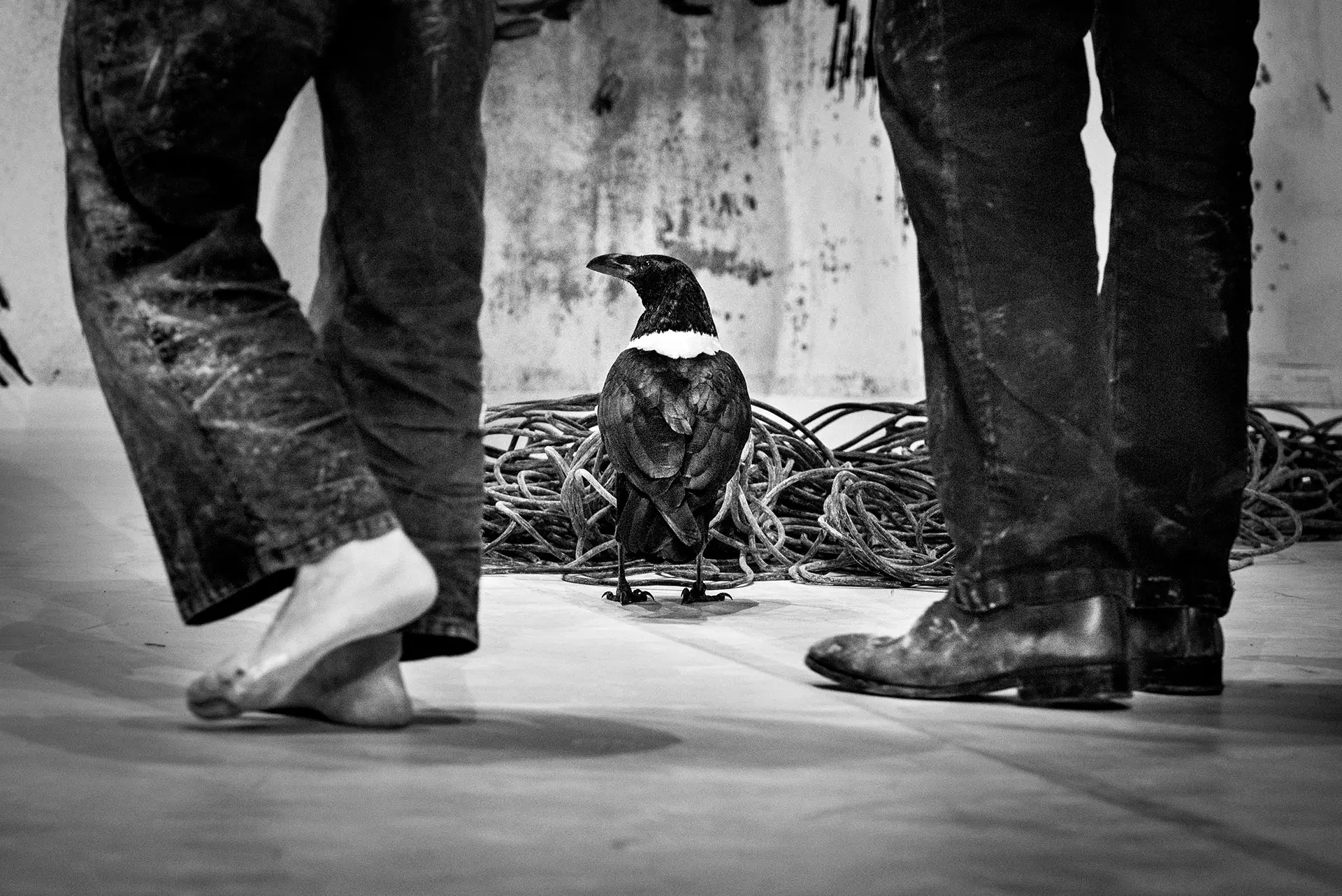 image du spectacle Là