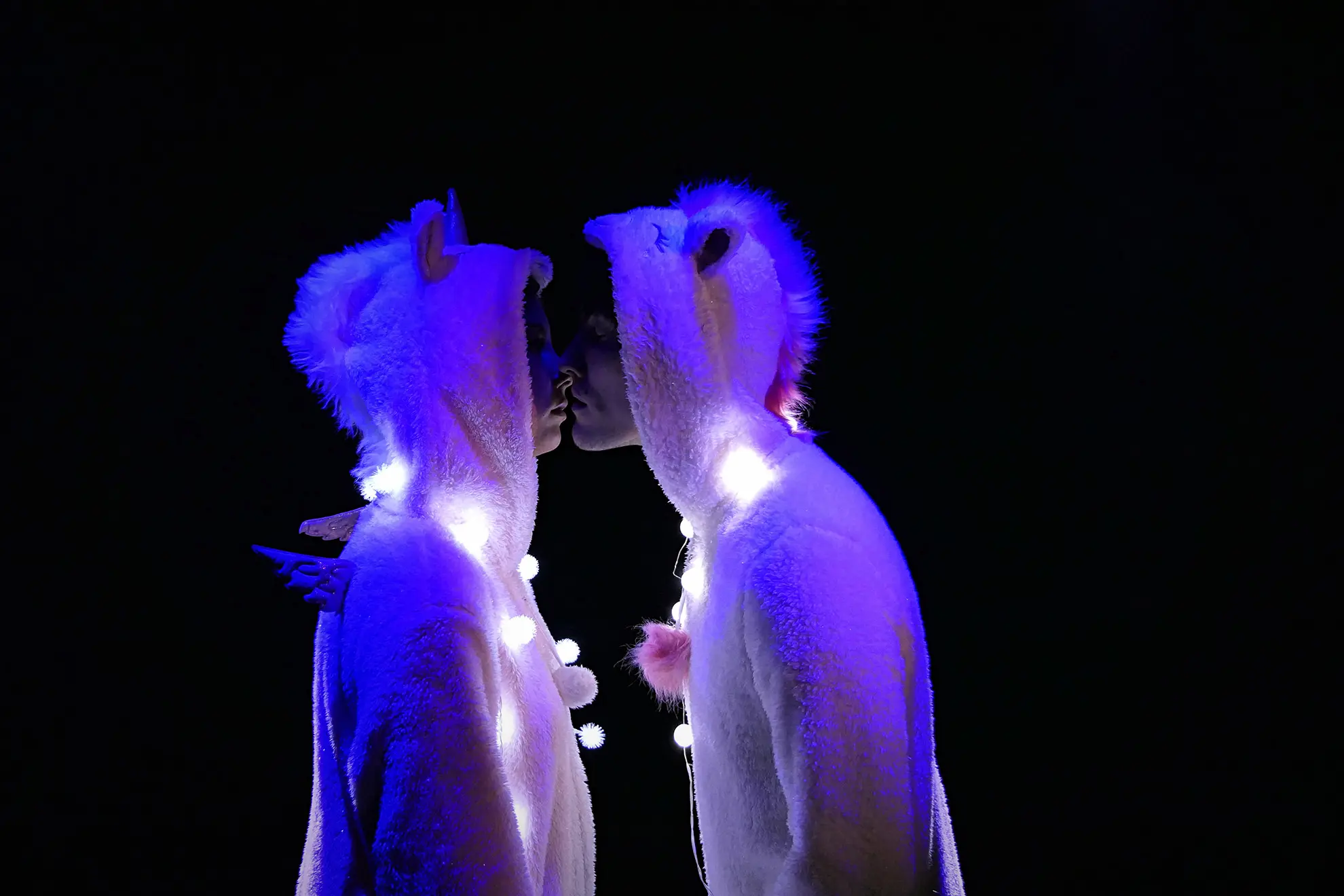 Ma petite Antarctique 1