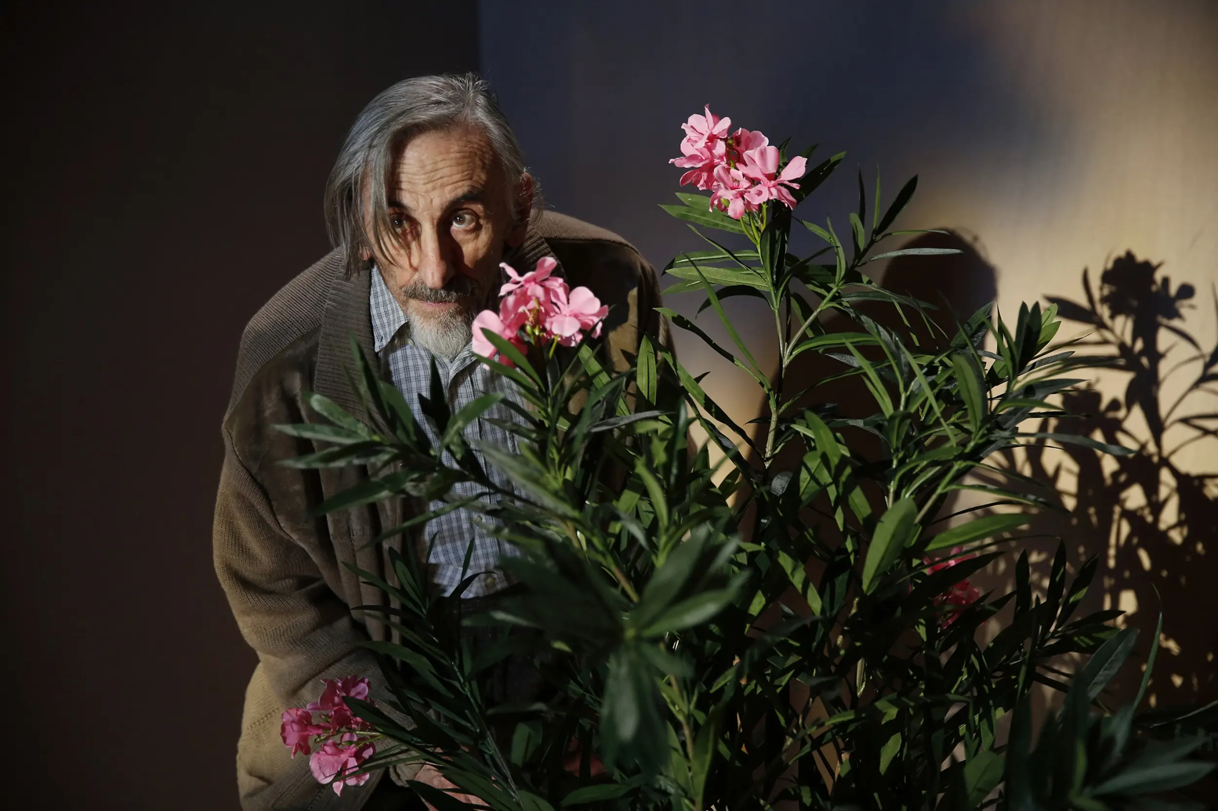 La vi que je t ai donnee