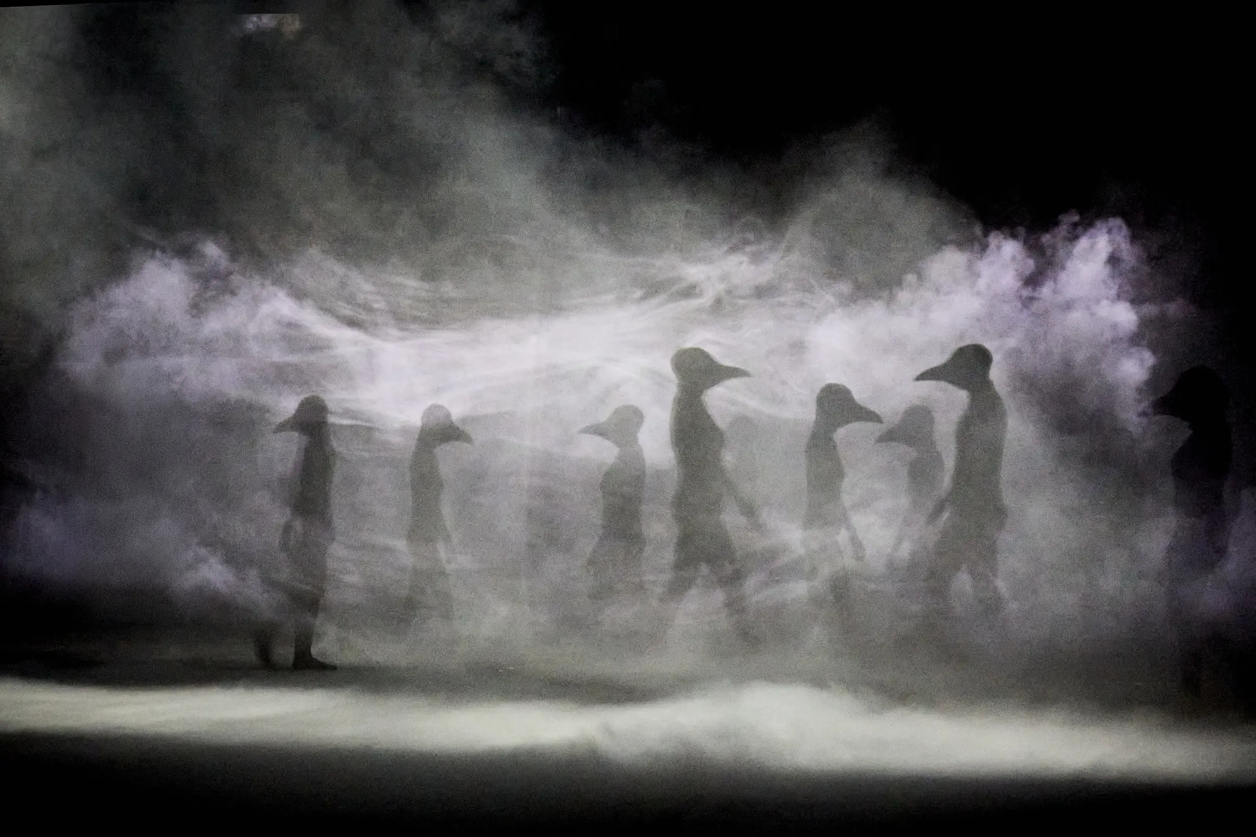 image du spectacle Poussières