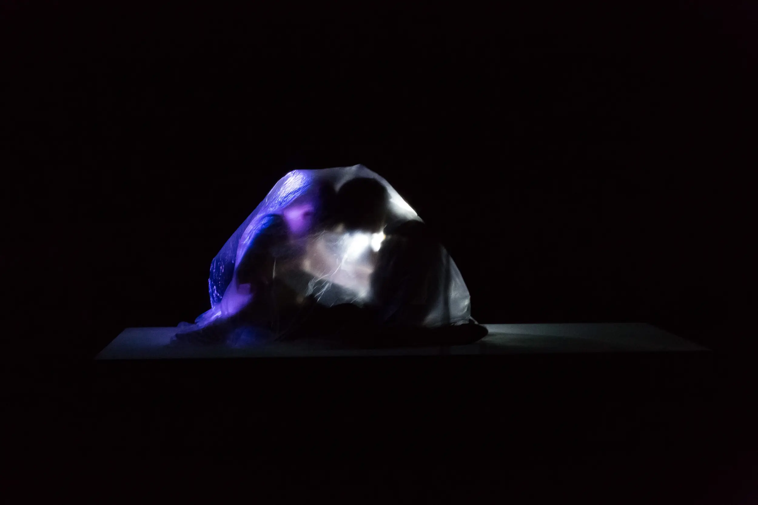 l'amour et les forêts 6