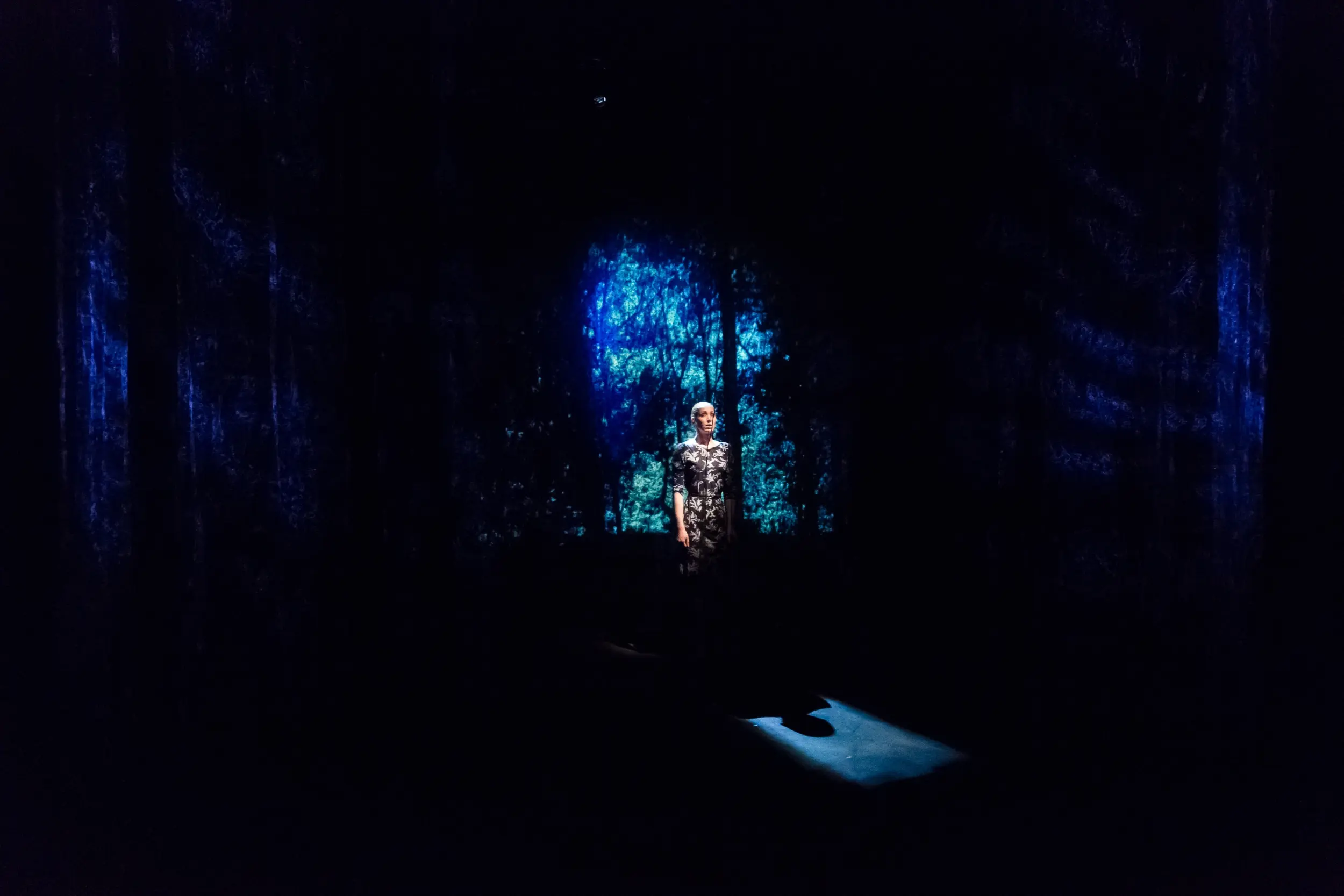 l'amour et les forêts 9