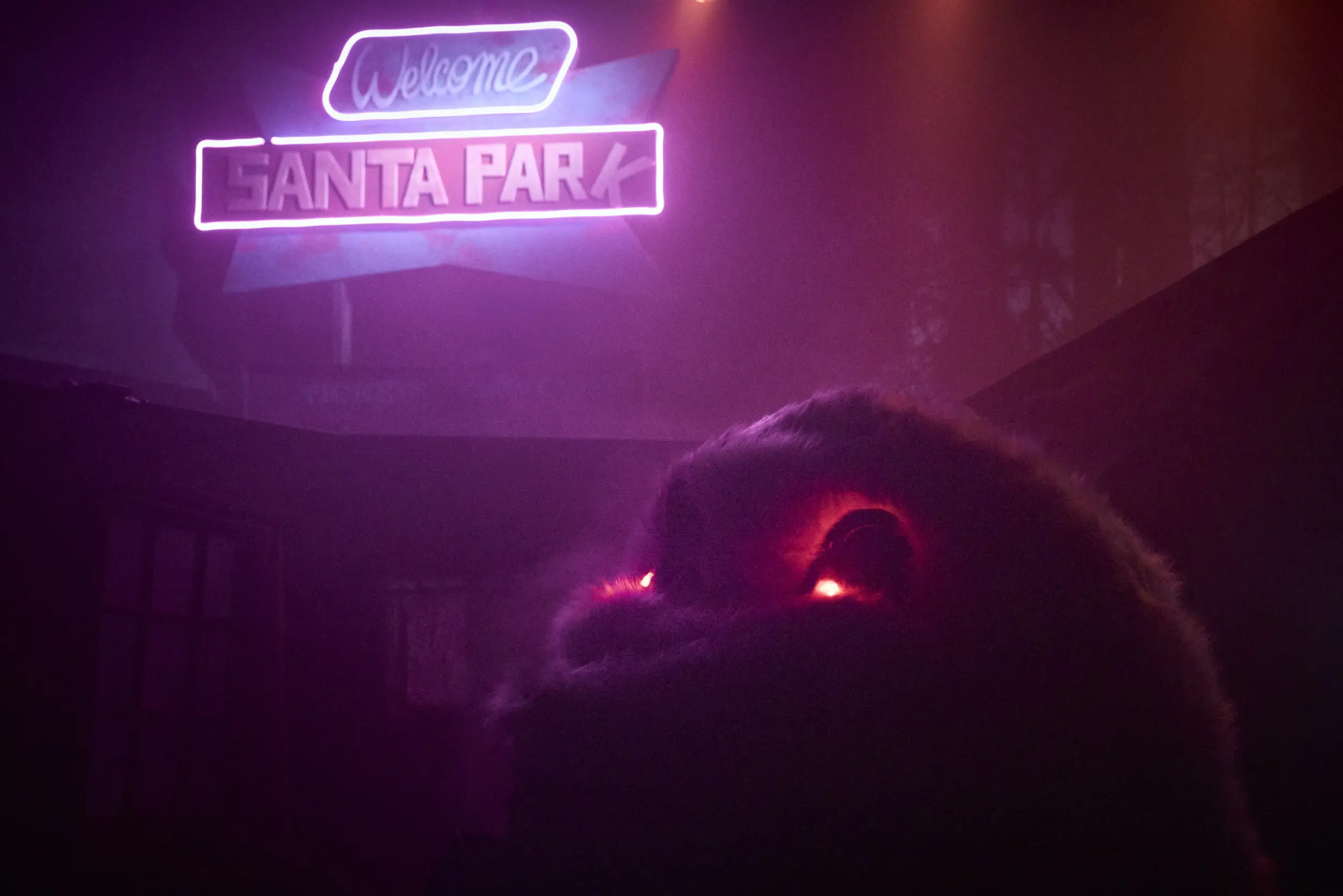 Image du spectacle SANTA PARK