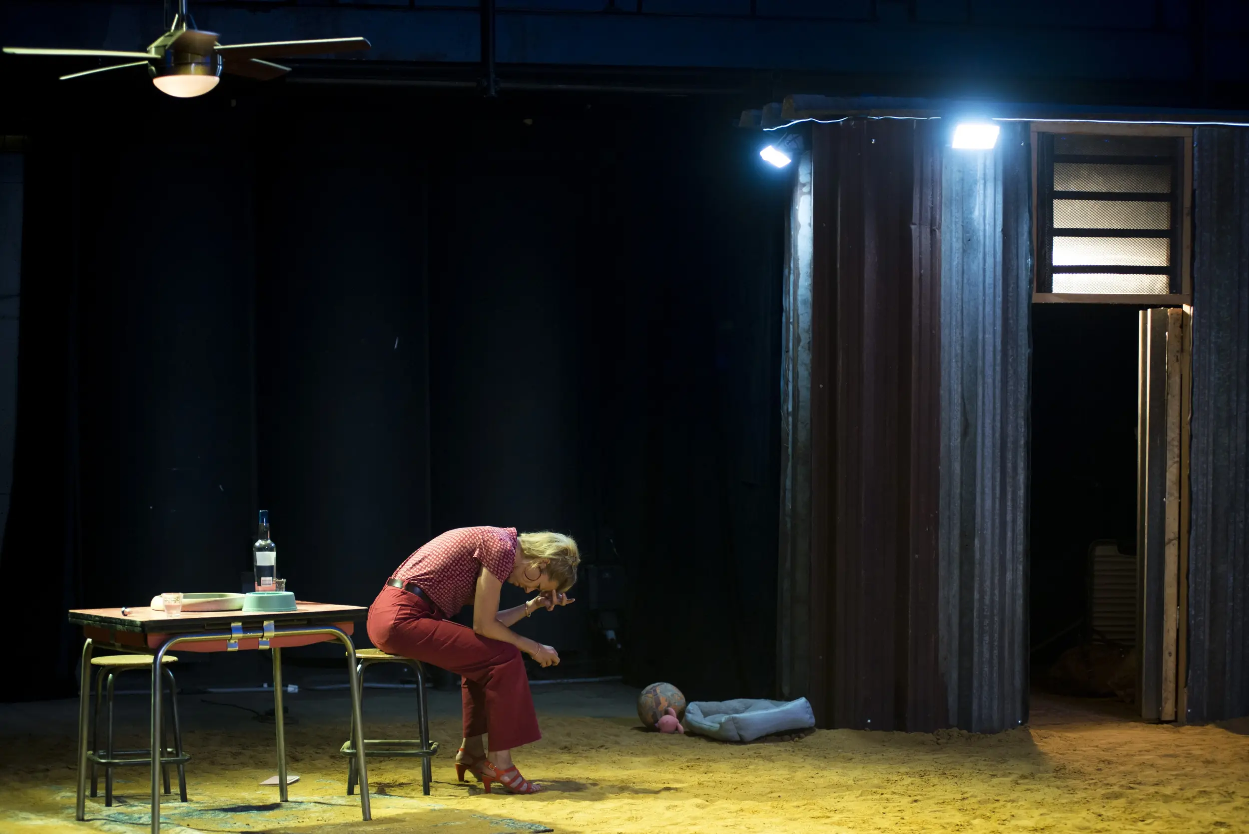 image du spectacle Combat de nègre et de chiens