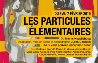 Les Particules élémentaires_2015