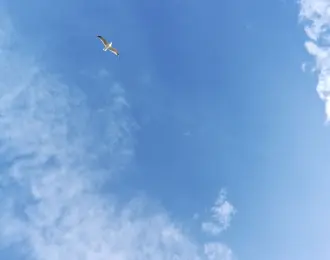 Image du spectacle Au nom du ciel