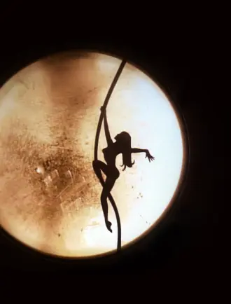 image du spectacle Dark Circus