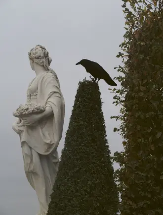 Image principale du spectacle Edelweiss