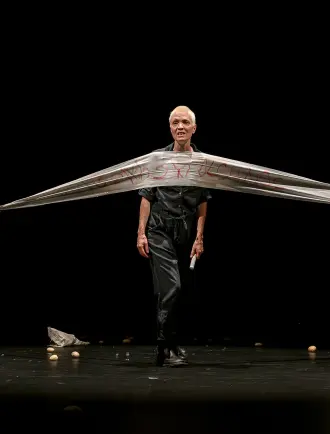 Image du spectacle I'm Fine