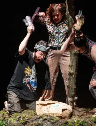 Image du spectacle Timber