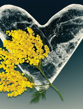 ma-petite-antarctique