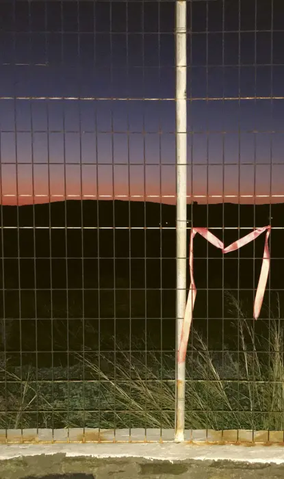 image pour MONARQUES