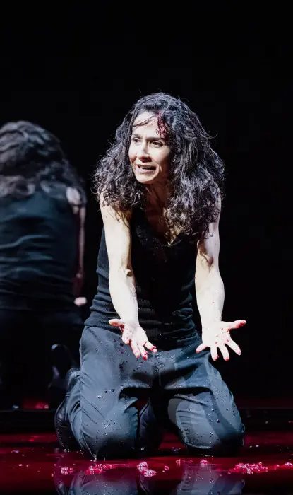 Image du spectacle Andromaque