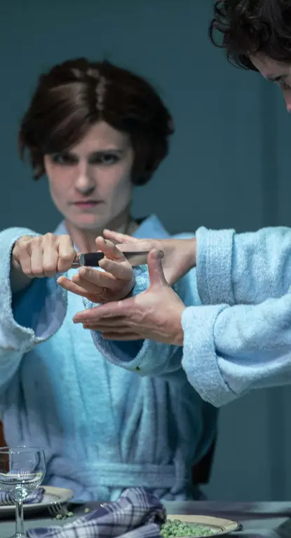 Image du spectacle Institut Ophélie