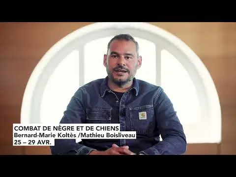 36 Combat de nègre et de chiens