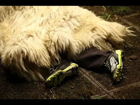 O M G _ t r a i l e r