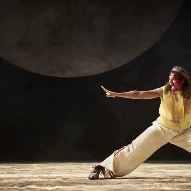 image du spectacle Mahabharata