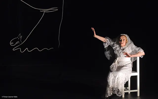 La-Journee-d-une-reveuse-2015_003