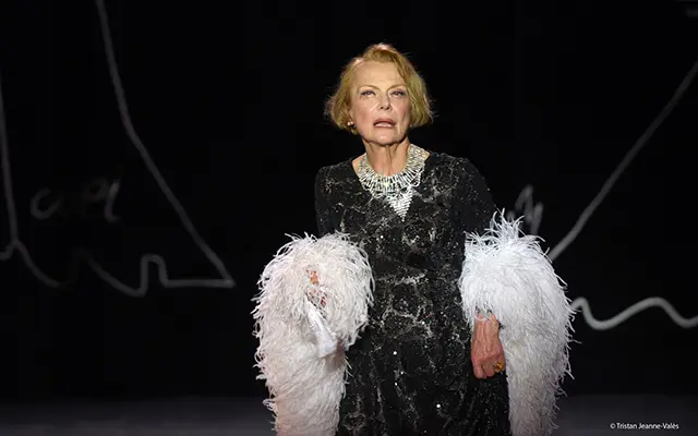 La-Journee-d-une-reveuse-2015_006