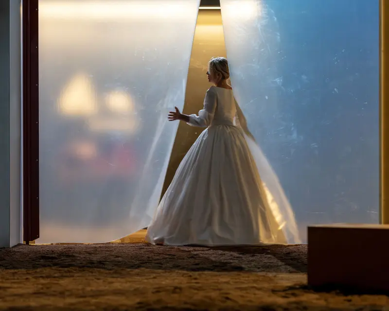 Image du spectacle Bovary Madame