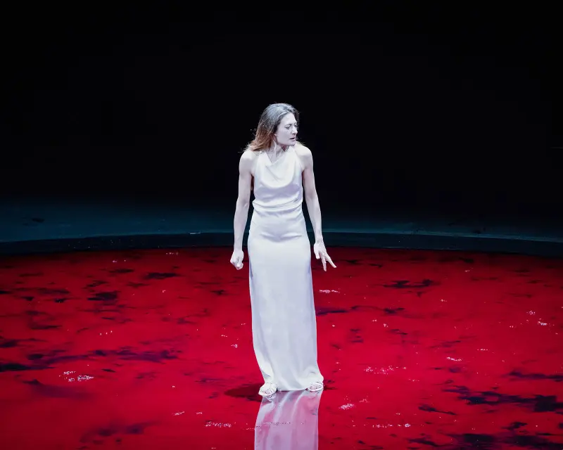 Image du spectacle Andromaque