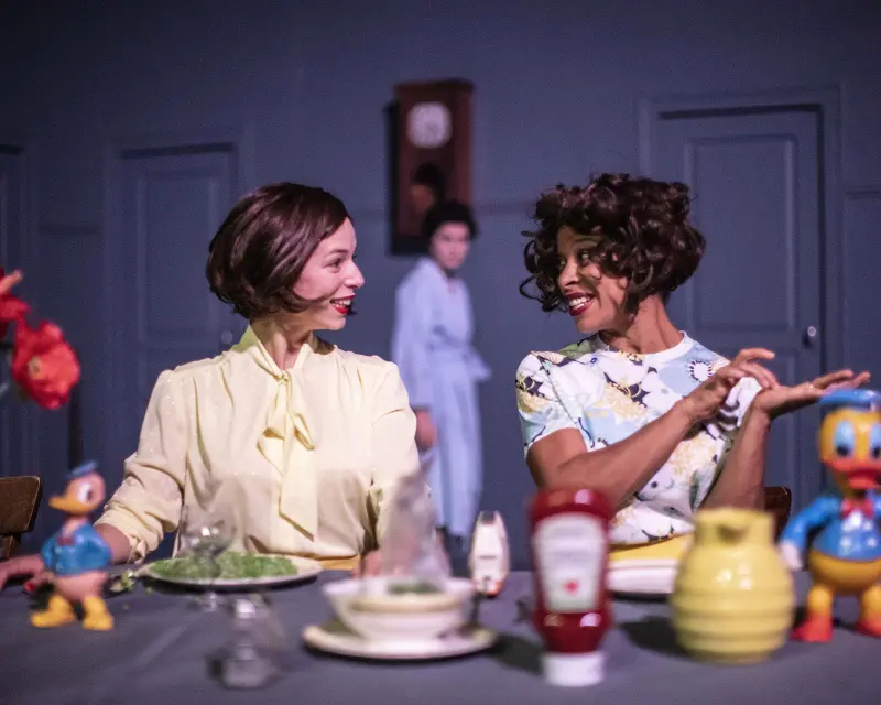 Image du spectacle Institut Ophélie